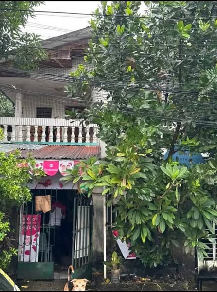 မြေကွက် ၊ ခြံ