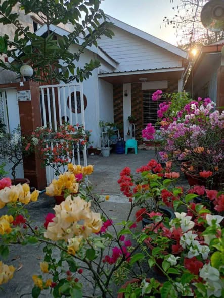 မြေကွက် ၊ ခြံ