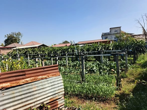 မြေကွက် ၊ ခြံ