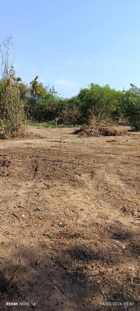 မြေကွက် ၊ ခြံ