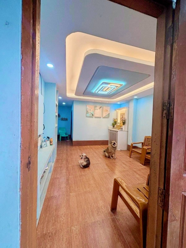 မြေကွက် ၊ ခြံ