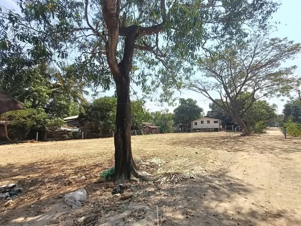 မြေကွက် ၊ ခြံ