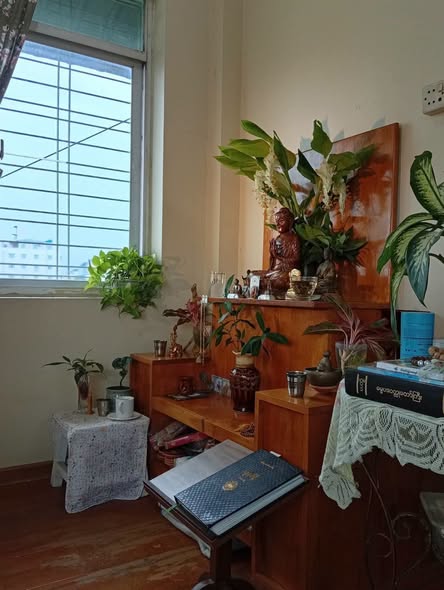 မြေကွက် ၊ ခြံ
